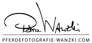 www.fotografie-wanzki.com